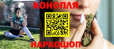 сатива Гусиноозёрск