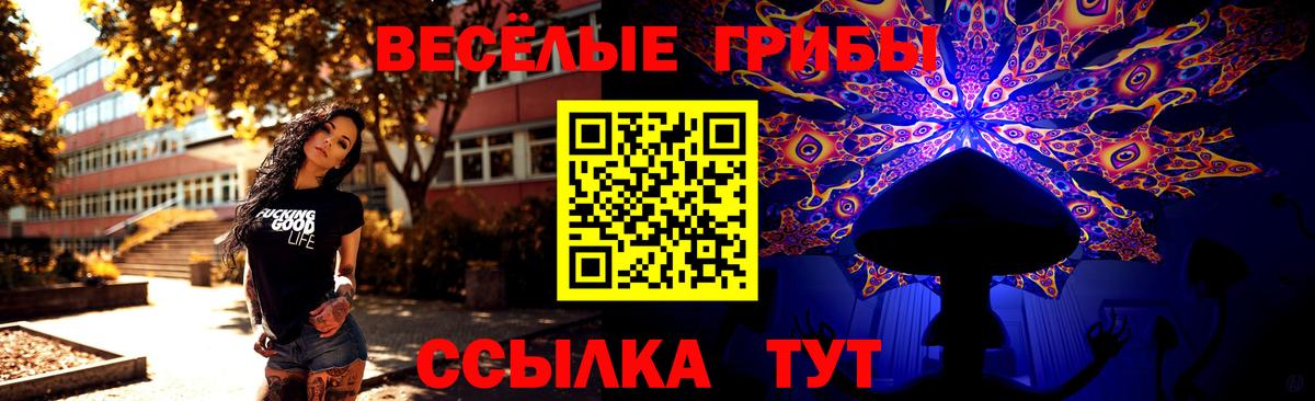 Галлюциногенные грибы Psilocybine cubensis  Вход с VPN  Псилоцибиновые грибы Psilocybe  Королёв 