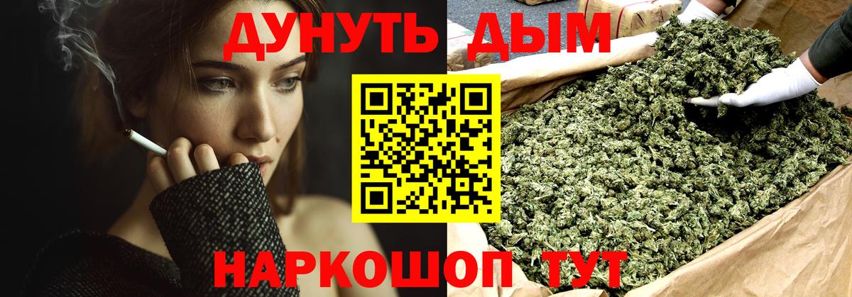 Королёв  Каннабис AK-47  Вход с VPN  Бошки Шишки планчик  Конопля семена 